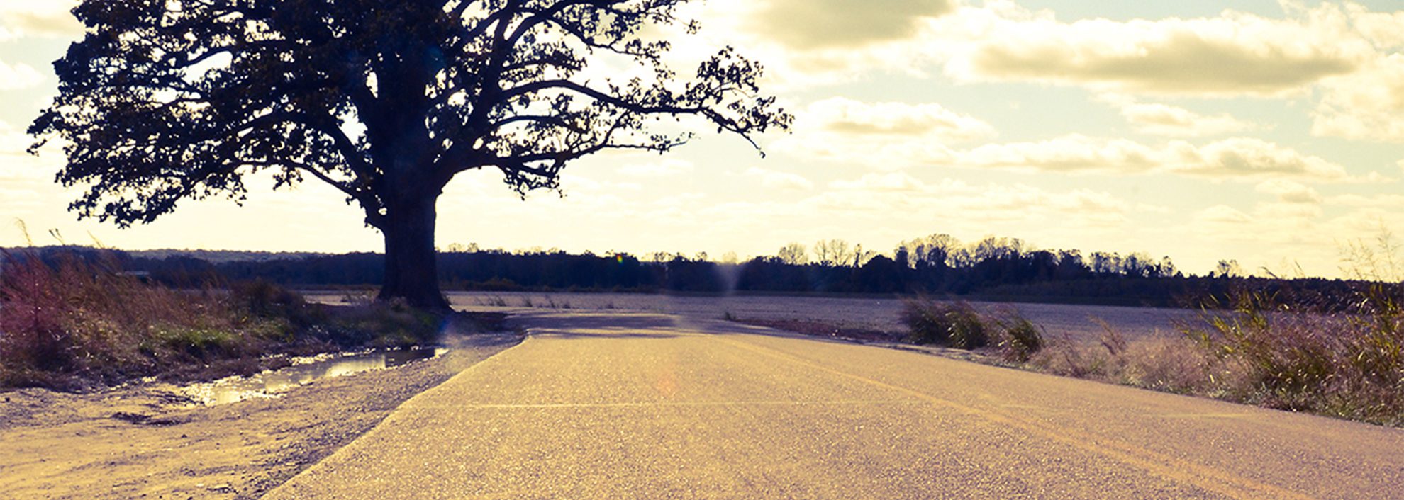 paved road with tree and clouds